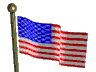 Stars and Stripes Forever!